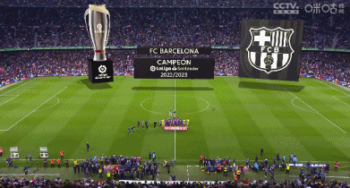 性别争议选手未通过检测，越南U21女排世锦赛成绩被取消（越南U21女排因选手未过性别检测，世锦赛成绩被取消）